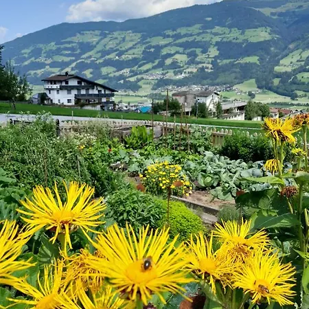 Schorpenhof