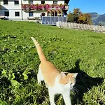 Séjour à la ferme Schorpenhof *